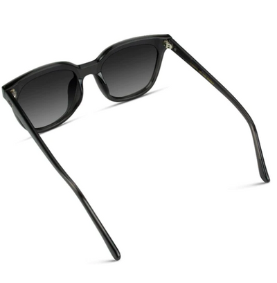 Lucy Sunglasses in Black Transparent Frame/ Gradient Black Lens