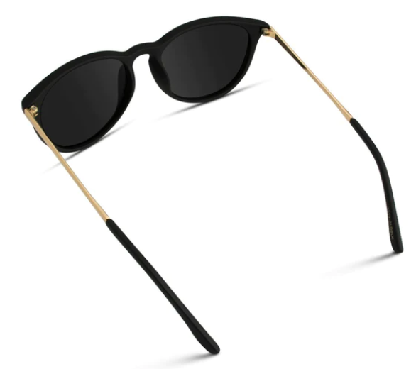 Drew Sunglasses in Black