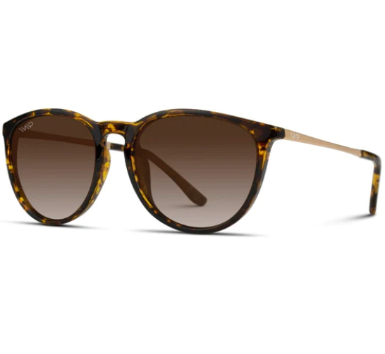 Drew Sunglasses in Tortoise Frames / Brown Lens