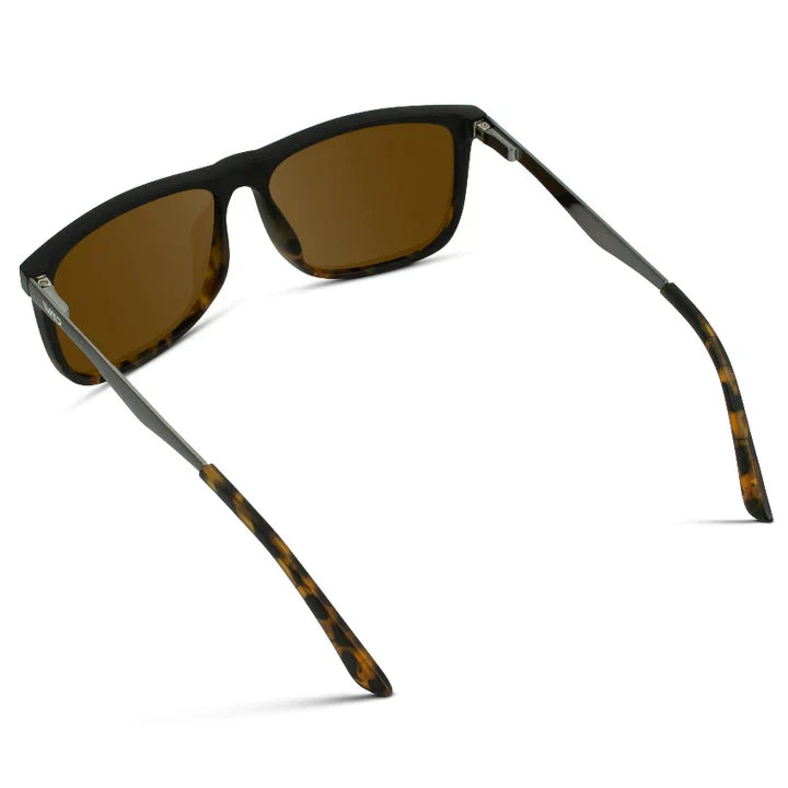 Jacob Sunglasses in Tortoise