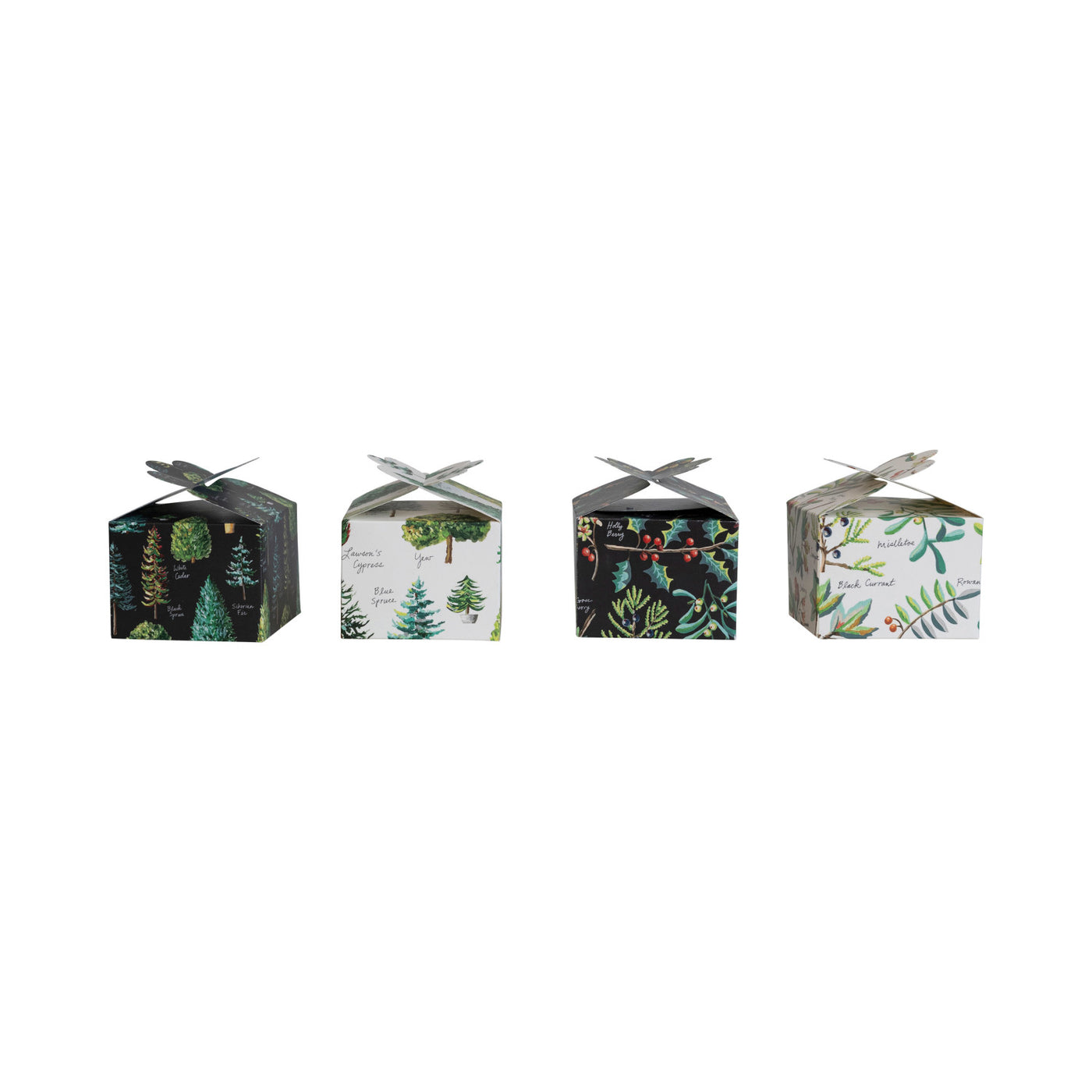 4" Square x 3"H Recycled Paper Interlocking Gift Box w/ Evergreen Botanicals