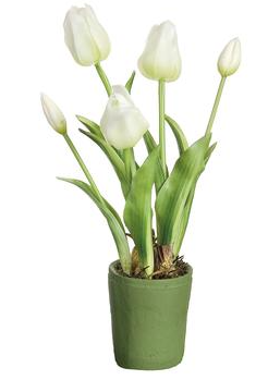 15.5" Tulip in MGO Planter