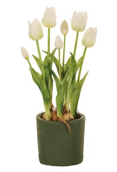 19.5" Tulip in MGO Planter